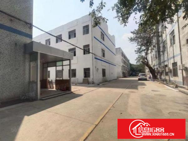 坪地原房东，中心区域，配套齐全，公交线路直达本项目。