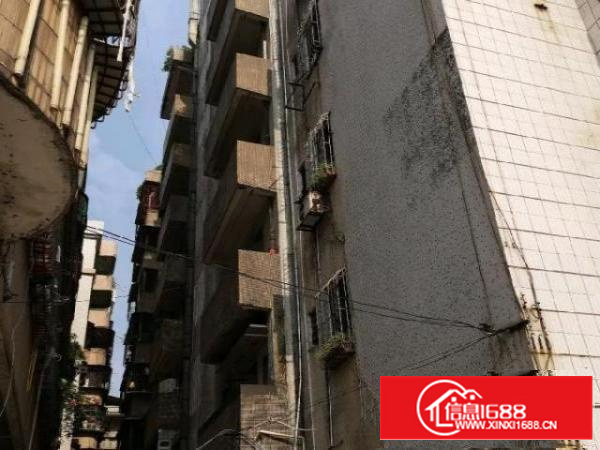 包租的福音，41间房，全部都有窗户，