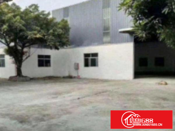 高埗独院单一层招商中1500平方面积