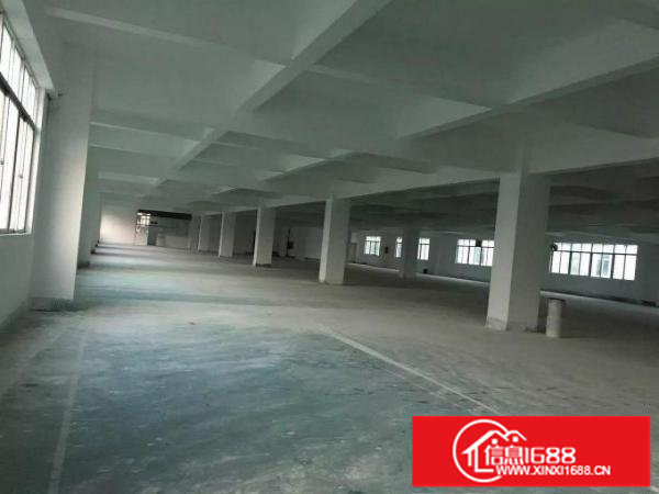 丹竹头超靓一楼厂房1050平米出租