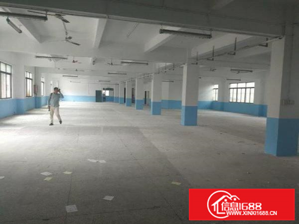 惠阳新圩原房东标准厂房一楼1400平方厂房出租