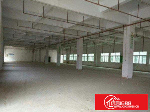 高埗标准一楼厂房500-5000平米低价招租