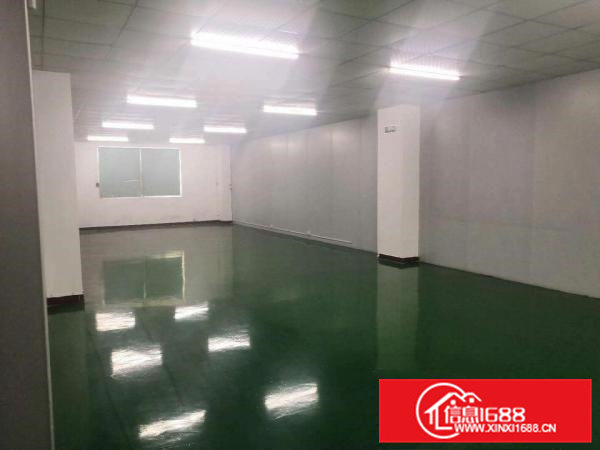 黄江工业园楼上600平，精装修办公室，无尘车间，拎包入驻