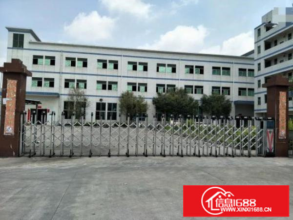 龙岗坪地新出精装修5.5米高一楼标准厂房1250