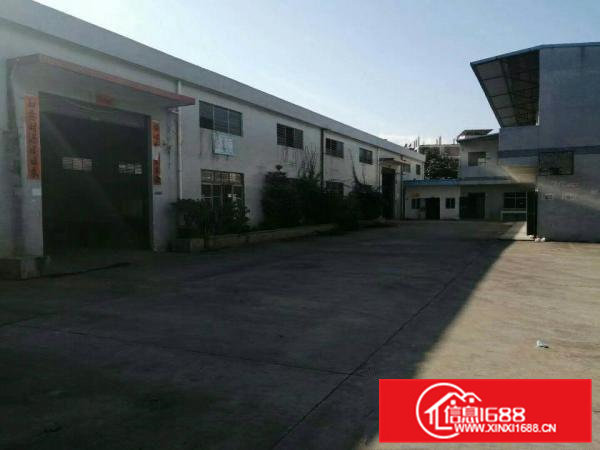 横沥原房东豪华装修单一层独院厂房700平方，滴水8米工业用地