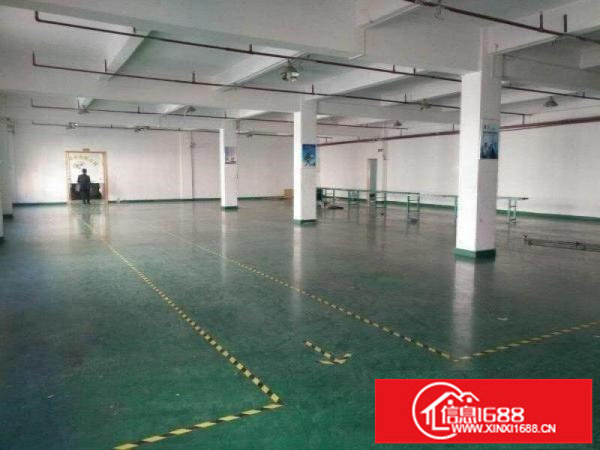 横岗原房东独院厂房仓库精装办公室100平起分租