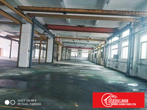长安厦边全新一楼厂房1000平可分租牛角