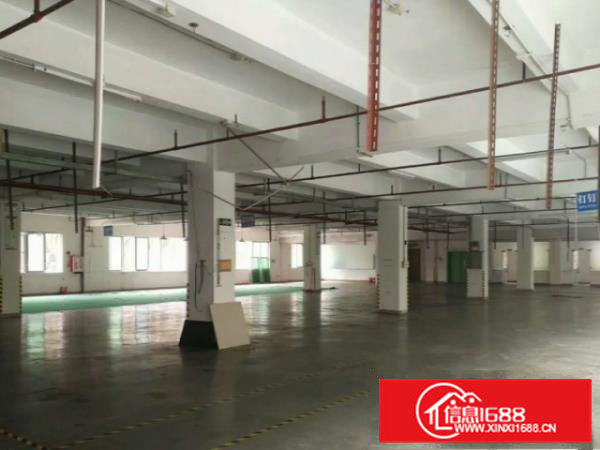 寮步泉塘工业区标准独院厂房800平方出租豪华装修