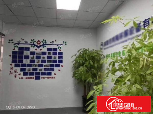 凤岗金凤凰工业区空出楼上650平方精装重工业厂房出租