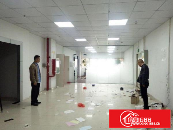 新墟红本研发厂房480平米精装修整租