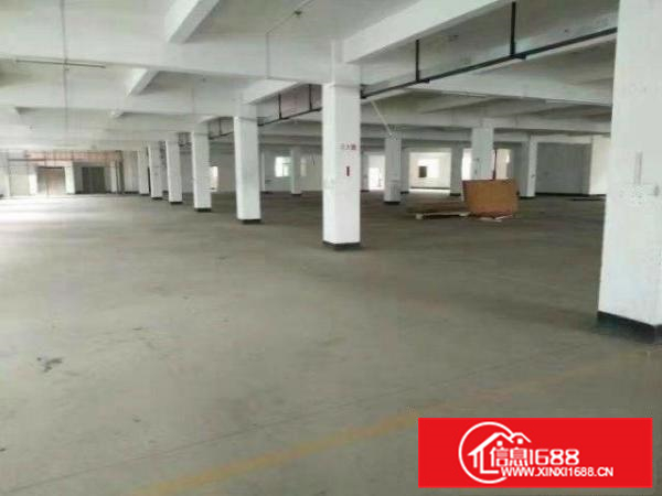 仲恺陈江独门独院11000平米厂房招租也可分租