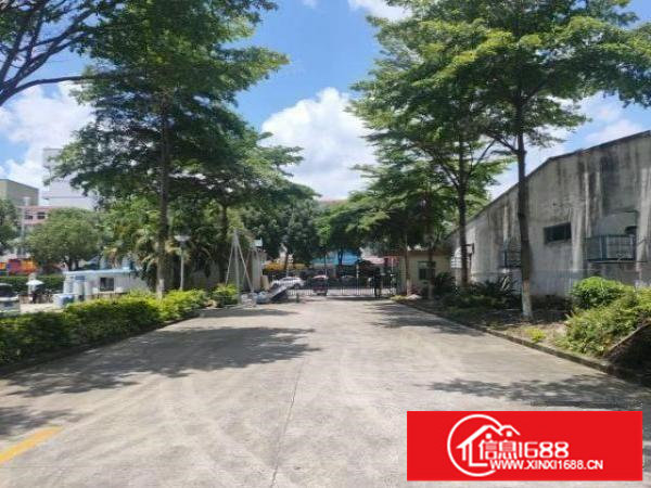 龙华大浪工业园区仓库厂房招租精装修1500平厂房出租面积可分