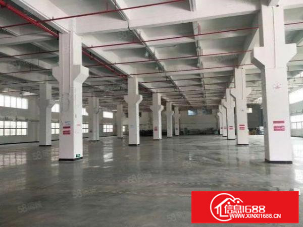 寮步镇大进工业园新建标准厂房一楼1100平方米，带牛角