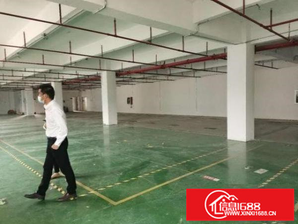 龙岗国际低碳城二楼500平方红本厂房出租有货梯