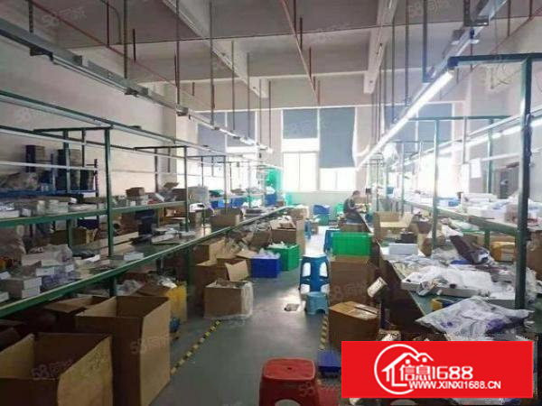 乌沙新安大桥附近新出楼上800平厂房