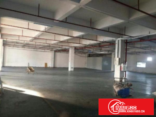 高埗工业园楼房2楼2000平米厂房超低价12元/平方出租