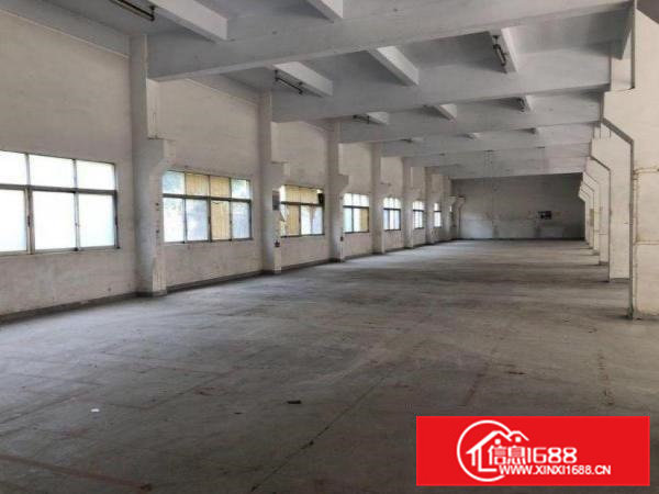 沙步一楼1080平层高6米带牛角位标准厂房