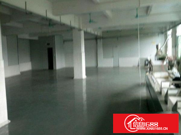 龙岗专做食品厂房800平米低价招租