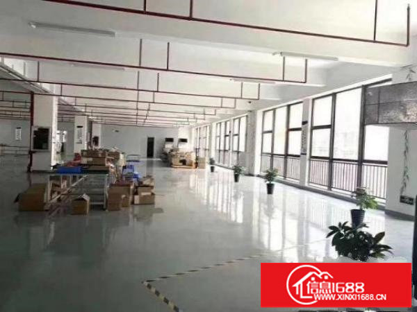 龙岗龙岗爱联原房东厂房1200平