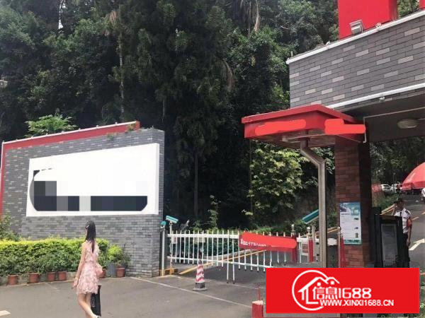 布吉花园式电商文化产业园180一5000平大小面积