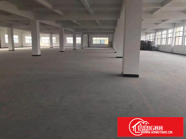 常平袁山贝新出7900平方独门独院采光好的厂房出租