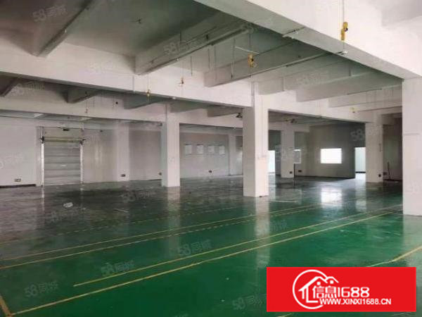 新出独门独院6800平，独立办公楼，空地大形象好