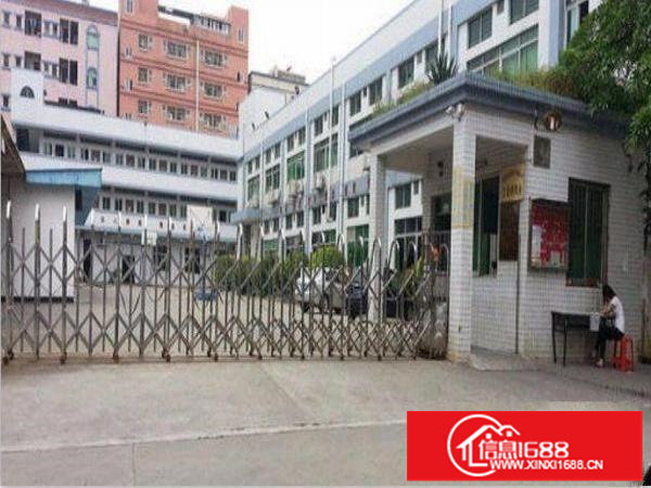 龙岗区吓坑标准一楼厂房1600平方火爆出租，可分租