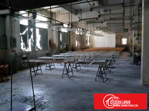 惠阳秋长11500平原房东独院厂房无公摊面积可分租