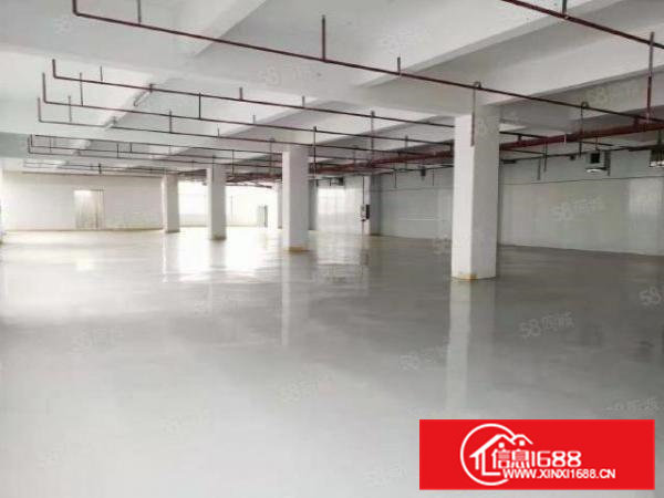 无公摊！石排花园式厂房分租2楼1500平方，地坪漆精装办公室