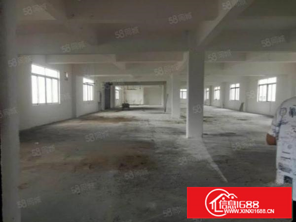 A不拆迁可办环评杏坛标准独栋一至三楼3960方火热招租