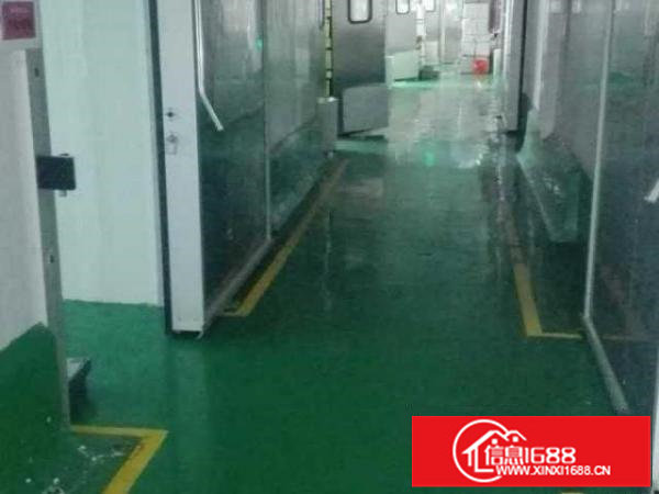 平湖白泥坑附近现成配送厂房出租，带冷库，300平方起租