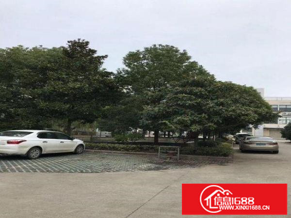 南约广场旁新出2楼550平方带装修厂房招租价格好谈！