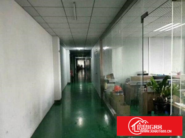 常平司马新出标准共三层3800平米出租