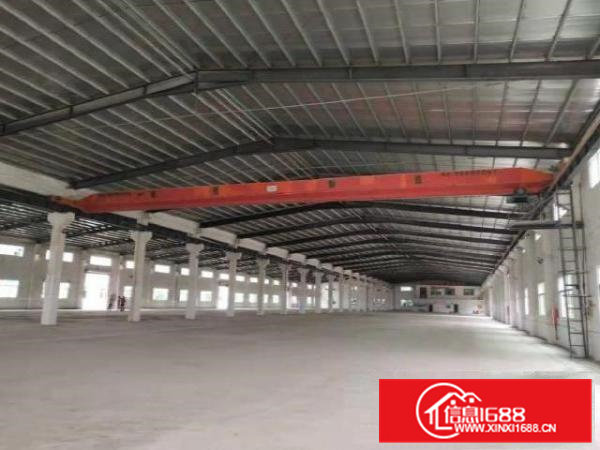 桥头镇原房东单一层钢构独院厂房