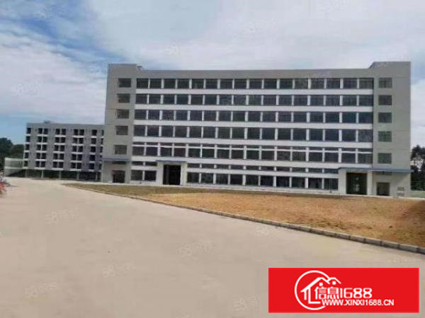 常平原房东独院厂房15层3万平，配套宿舍饭堂空地1万平