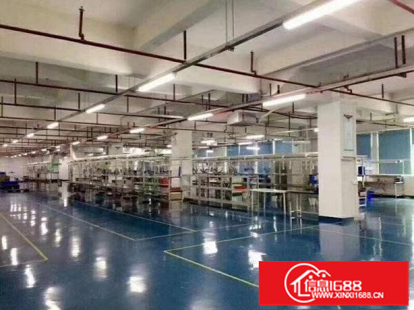 大浪同富屯工业园旁500~1000~8千平厂房