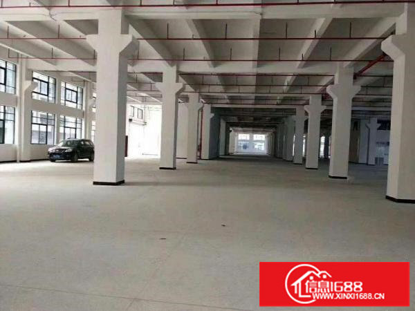 龙岗五联一楼3960平全新精装修带行车红本厂房出