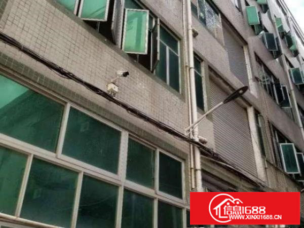 布吉丹平独栋厂房出租100平米起可分租金便宜