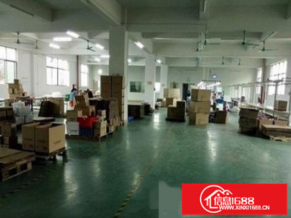 坪山坑梓标准一楼600平米出租，带红本可分租