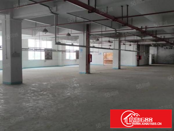 石碣三村第四工业区10000平方200平起租无公摊带环评精装