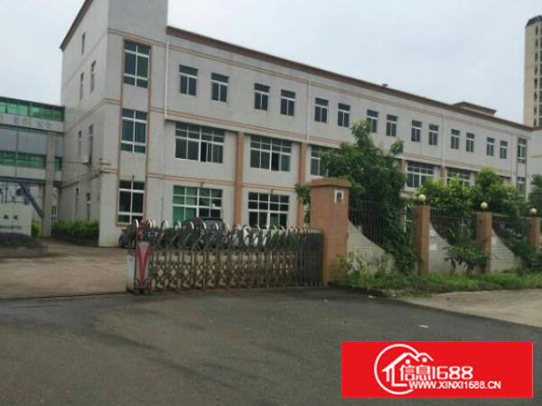 长安振安东路一楼厂房1000平方米带牛角出租