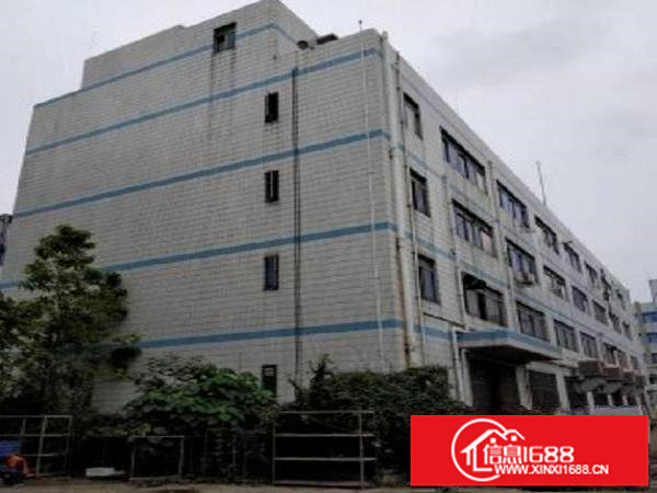 横岗智创绿谷5万平红本标准厂房出租,大小可分租