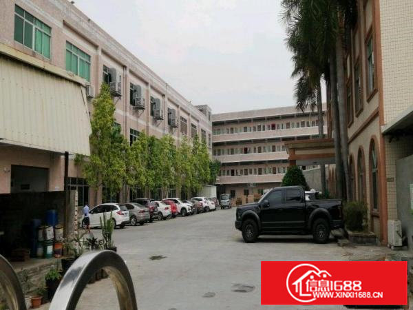 寮步镇竹园楼上1200平方平方业主急租