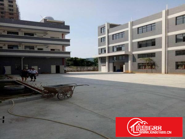 坪地新出标准厂房780平米租13元