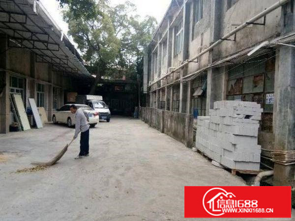 布吉新三村一楼500平带装修办公室厂房出租