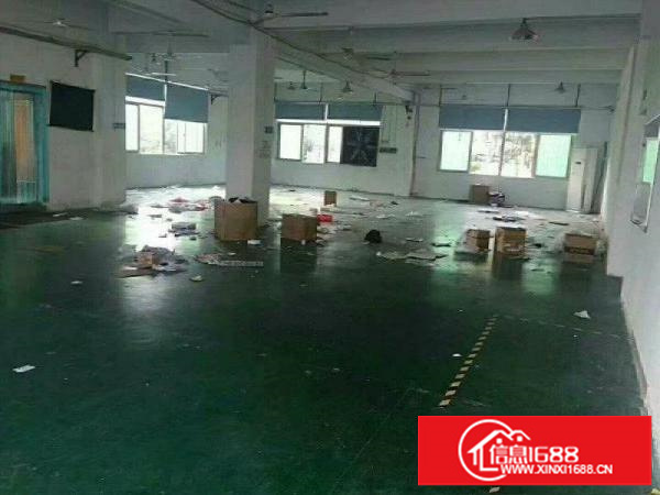 坪山碧岭新出楼上厂房400平米(带装修)