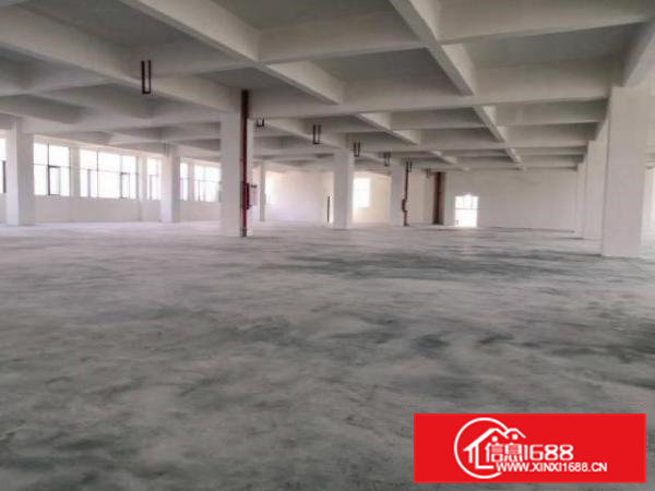 全新厂房，六楼可办公试用于任何行业
