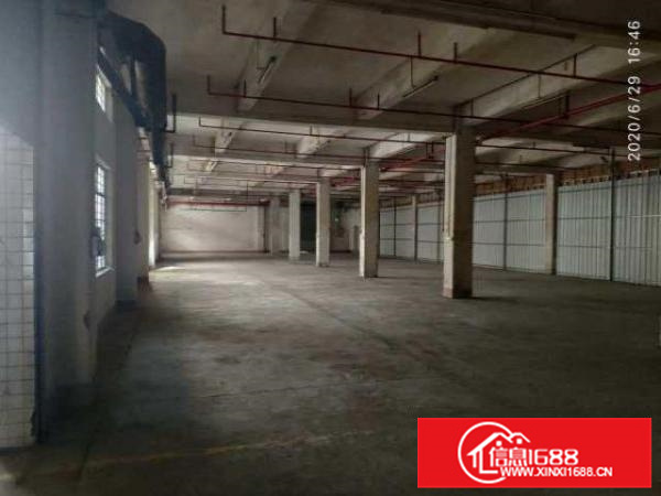 物业直租顺德乐从1060仓库出租，可做展厅-2