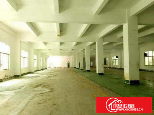 横岗新出独栋单层1900平方标准厂房招租