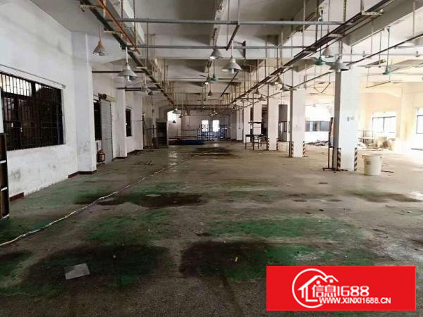 五金，电子~清湖头4200平方消防合格！独院厂房！带水电装修